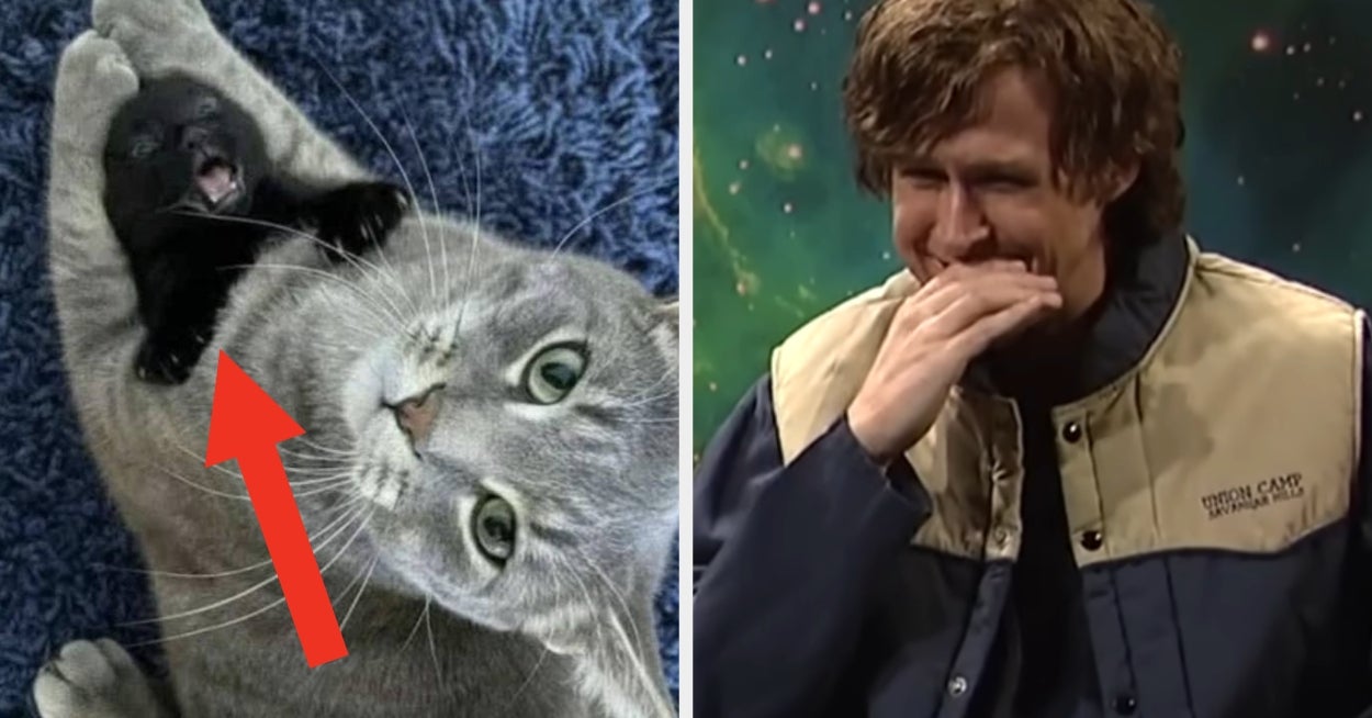 These 100 Hilarious Photos Had Me Cracking Up For 15 Minutes Straight, So You Need To See Them Too