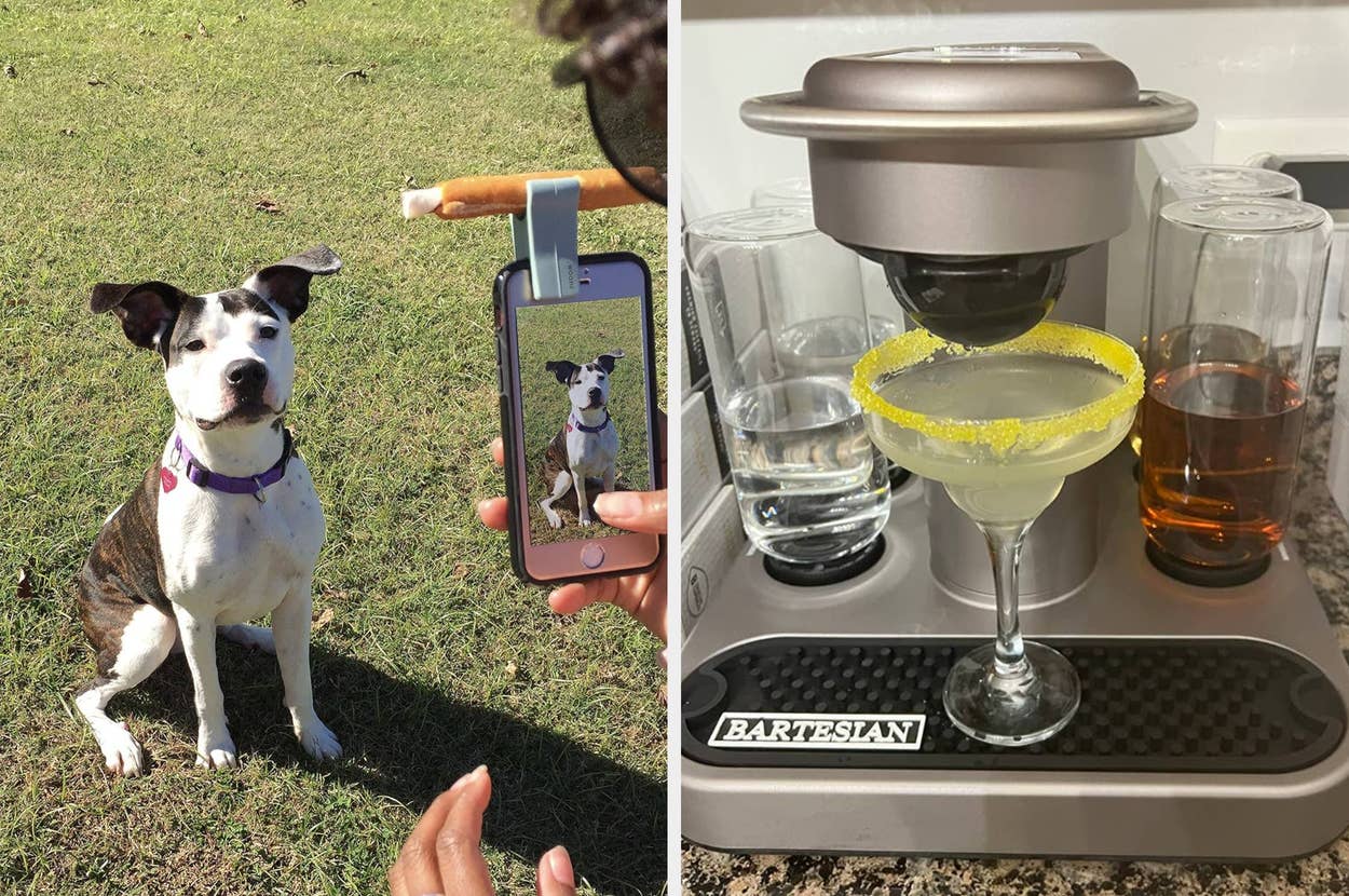 A dog poses outside; a smartphone with a clip holds a treat above the camera. Beside it, a drink with a lemon rim sits on a countertop device