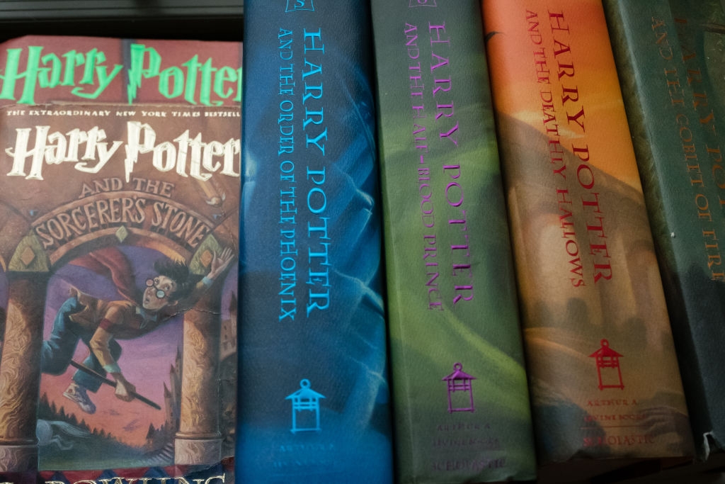 Harry Potter publication  bid    displayed connected  a shelf, showing assorted  titles and spine designs