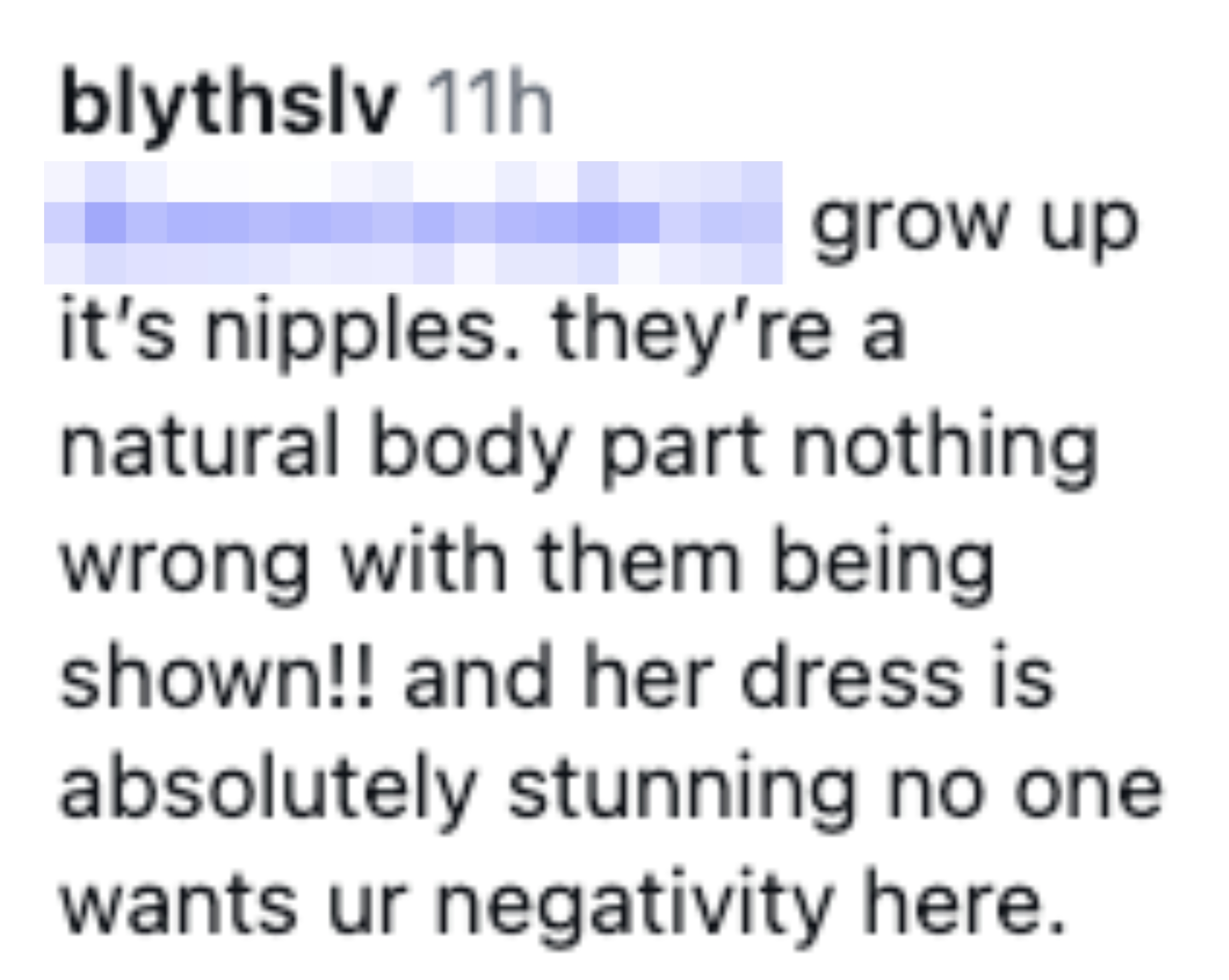 Comment defending disposable   nipples arsenic  earthy  and praising a stunning dress, rejecting antagonistic  opinions