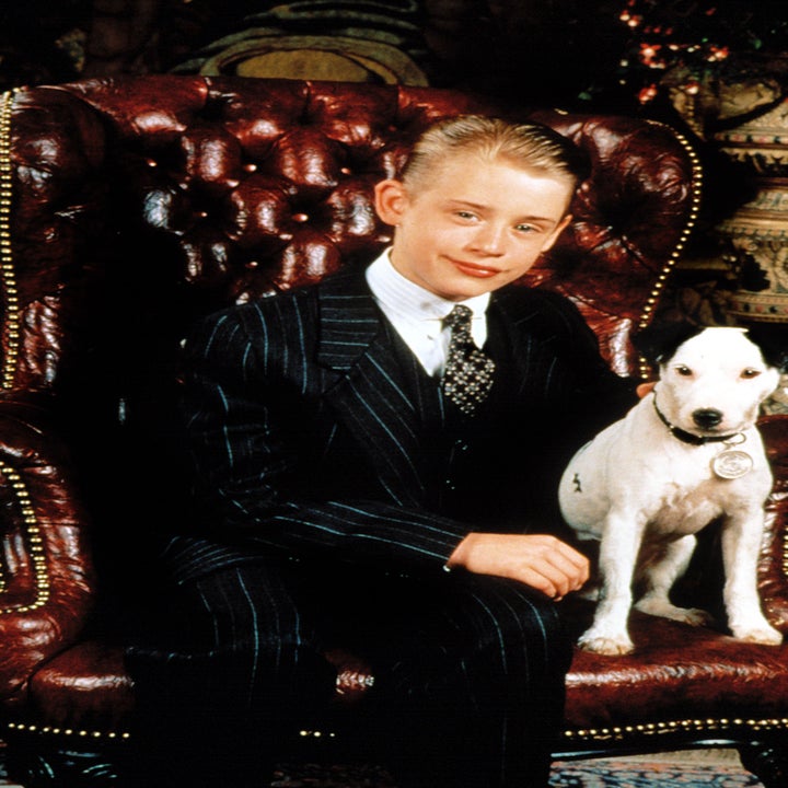 Person in a pinstripe suit sitting in a leather chair with a dog beside them