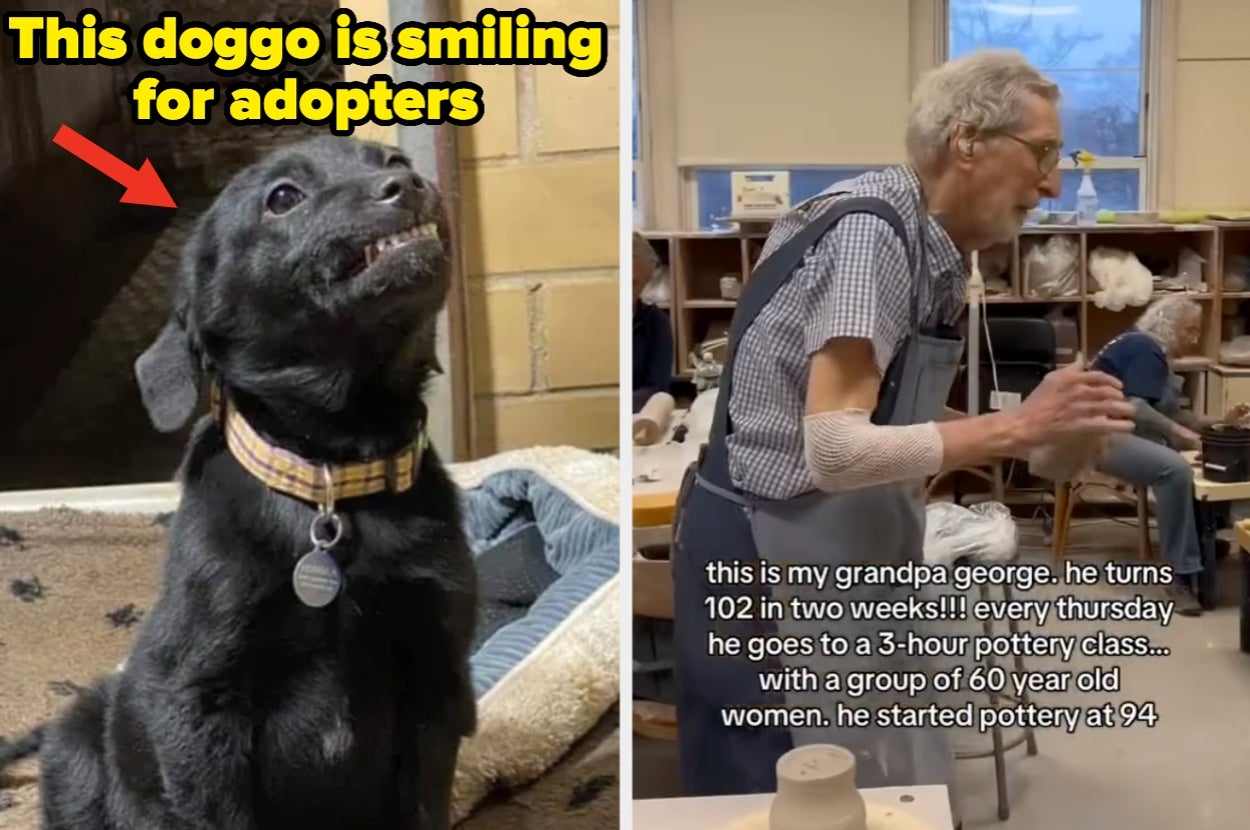 24 Wholesome Internet Posts That Will Restore Your Faith In Humanity (Even When The World Is Burning)