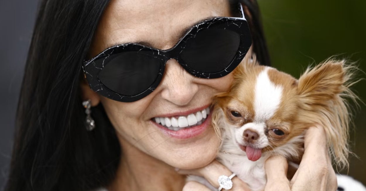 Pick A Bunch Of Animals And I'll Give You A Cute Puppy To Adopt!