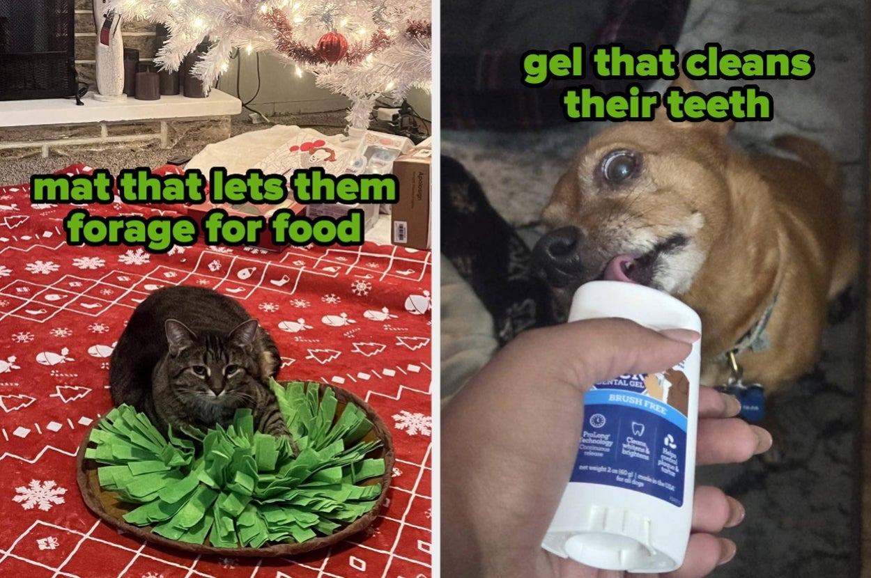 A cat on a foraging mat and a dog licking a dental gel bottle, promoting pet products for health and activity