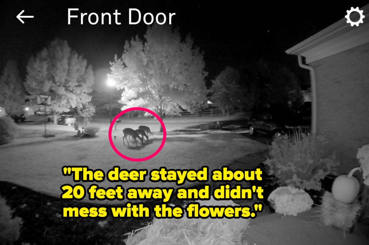 29 Gardening Products That Actually Work And Have The Photographic Evidence To Prove It