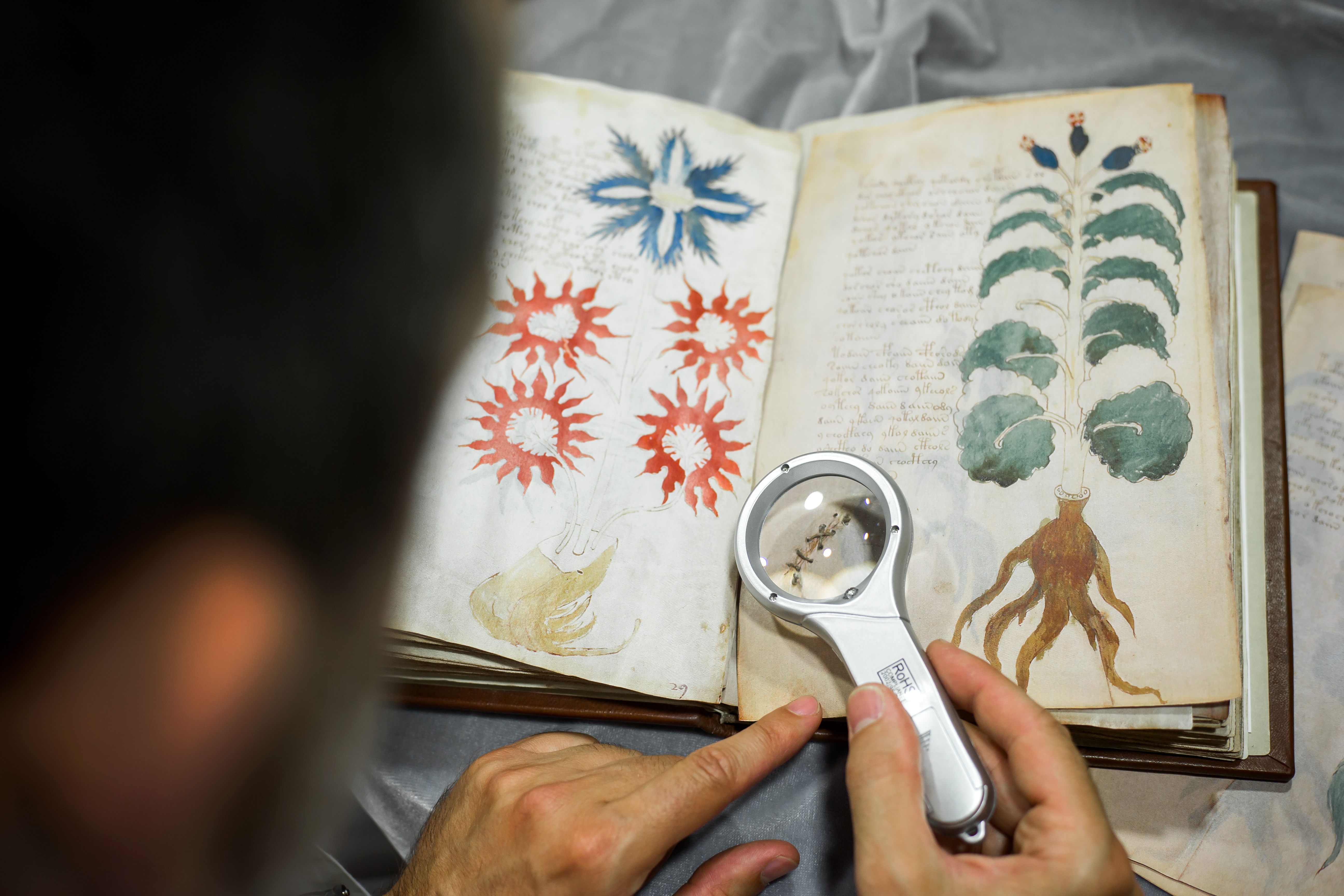 Person examining an past manuscript with a magnifying glass, highlighting botanical illustrations and handwritten text