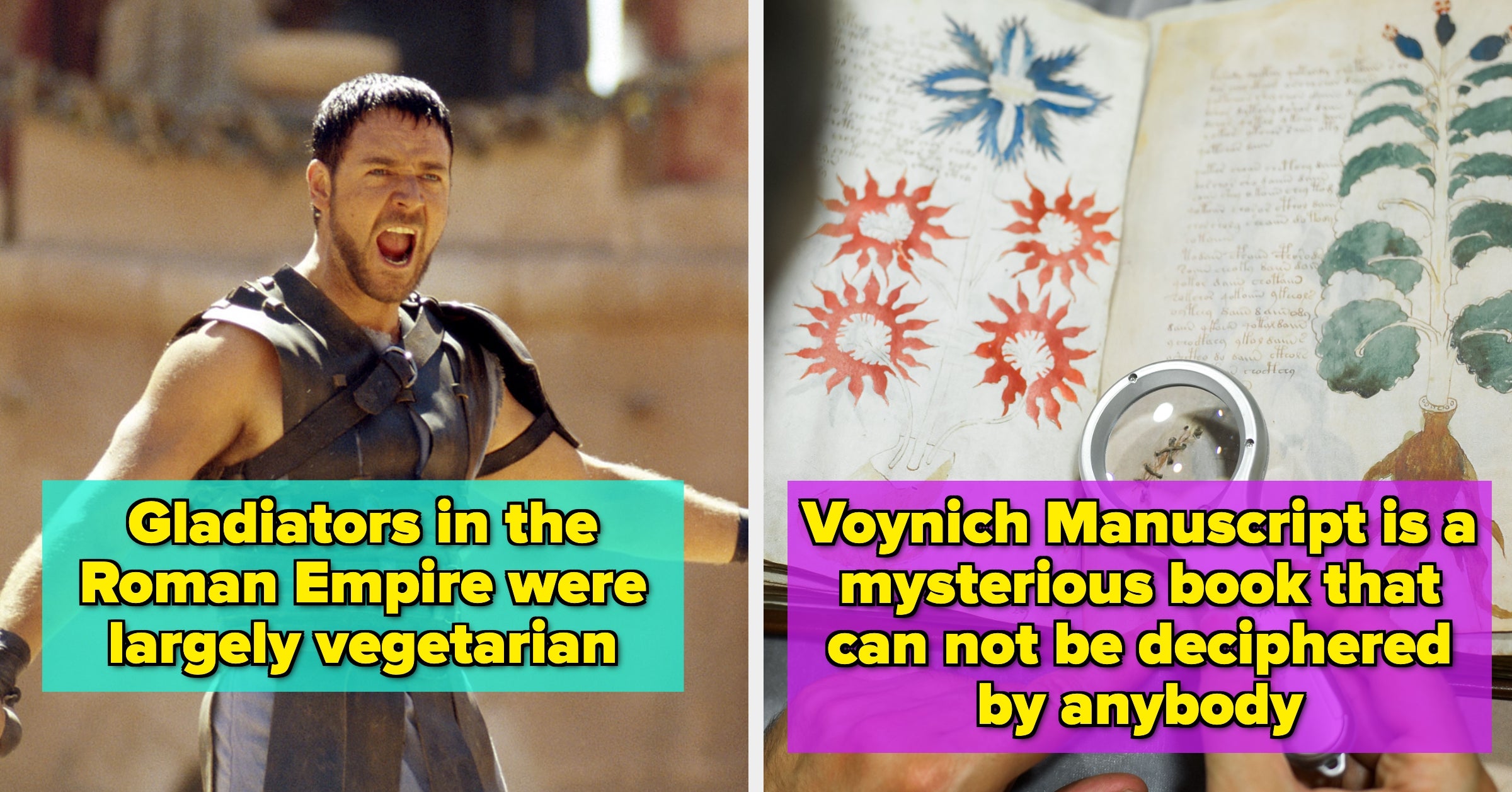 11 Incredible Discoveries Of Things People Were Absolutely Sure Didn't Exist Or Were Just Theories That Lived On The Fringe