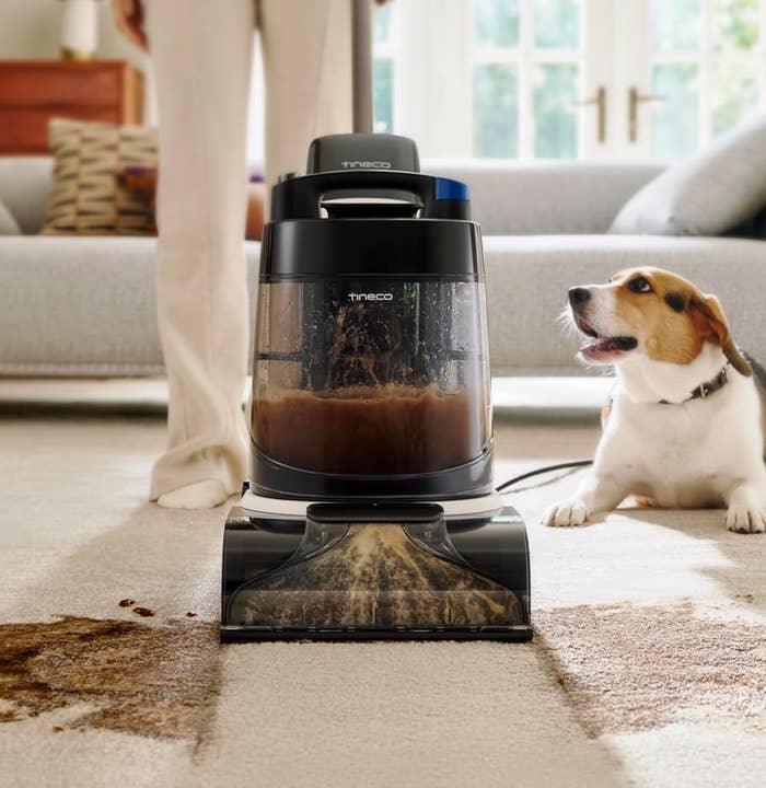 carpet and upholstery cleaner