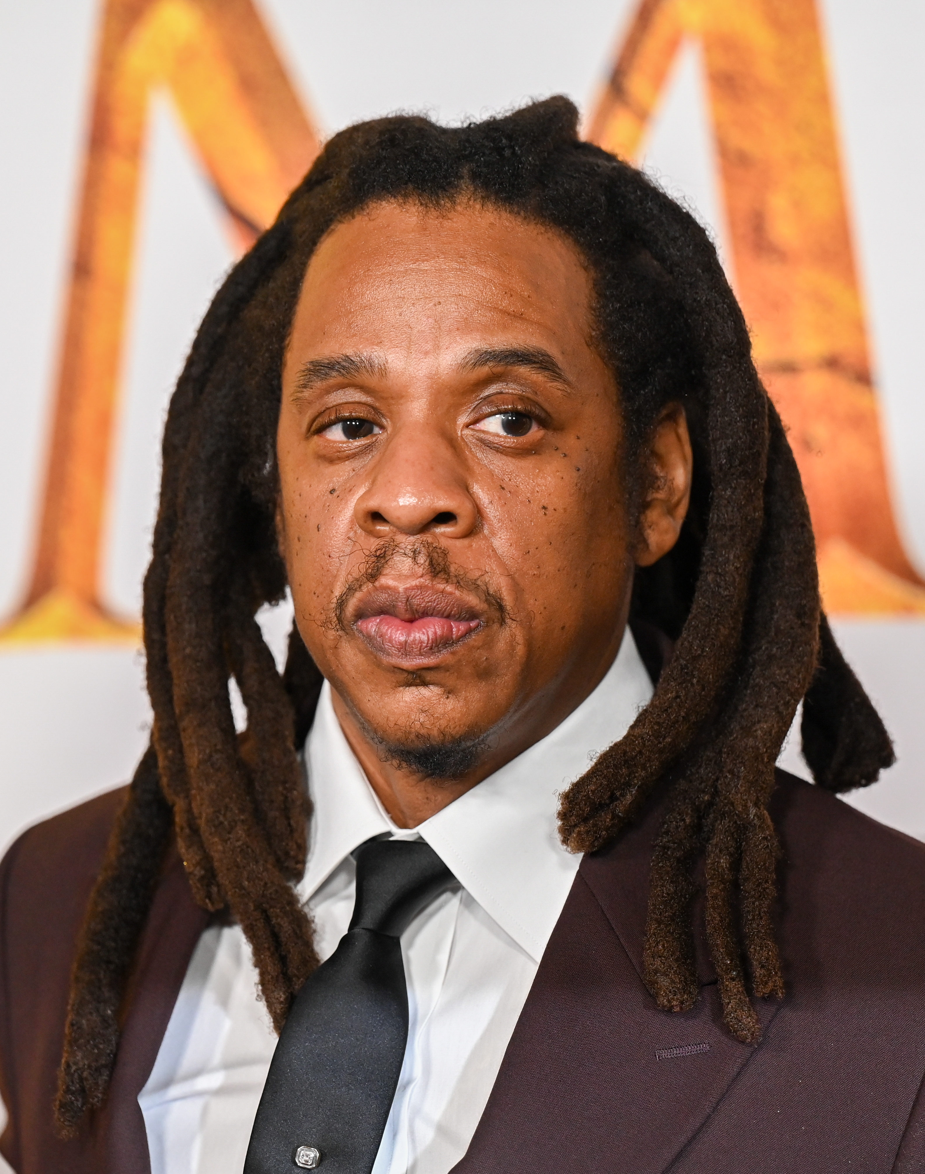 Person with agelong  dreadlocks successful  a ceremonial  suit   and necktie  connected  a reddish  carpet