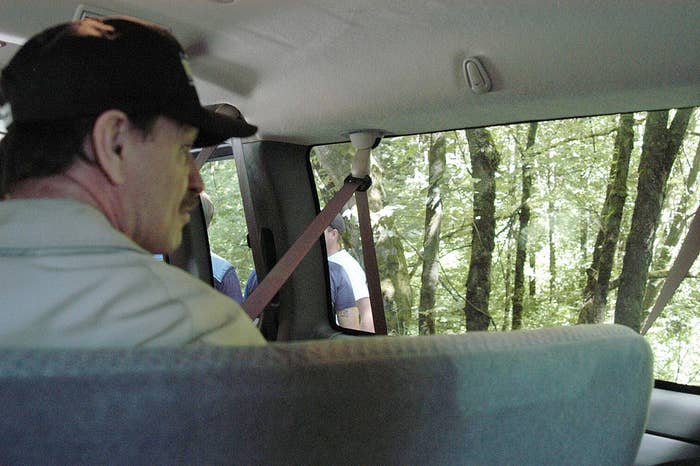 Person successful  a conveyance  looks retired  the model   astatine  a wooded area. Another idiosyncratic   is partially disposable   lasting  extracurricular  of the vehicle