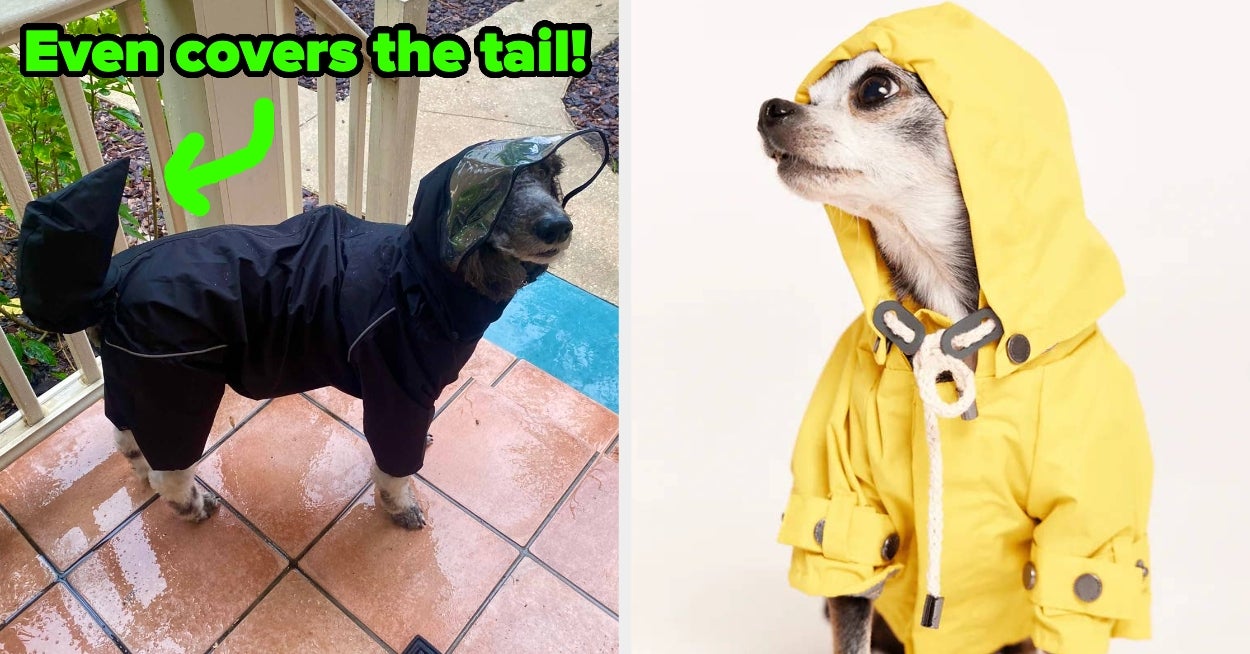 These 15 Dog Raincoats Will Make Rainy Walks Way Less Miserable