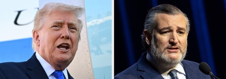 ドナルド・トランプ米大統領とテッド・クルーズ上院議員