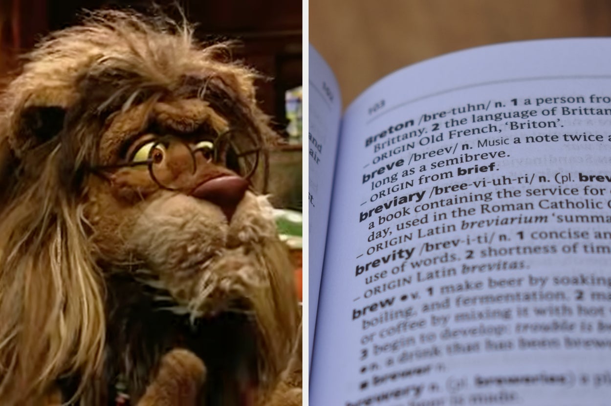 On the left, a puppet with glasses and long hair. On the right, an open dictionary showing definitions including "brevity."