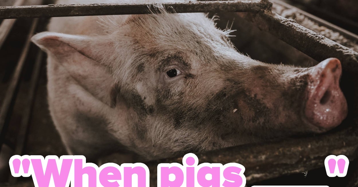 Good Luck Scoring Above 70% On This Increasingly Difficult Idioms Quiz