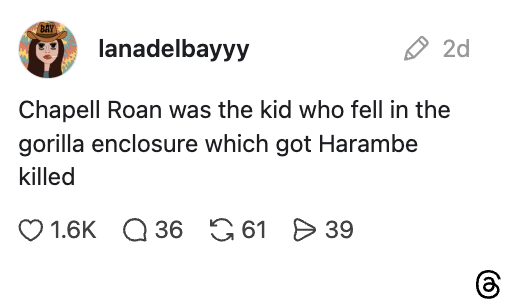 Instagram post joke mistakenly claiming Chappell Roan as the child in Harambe incident