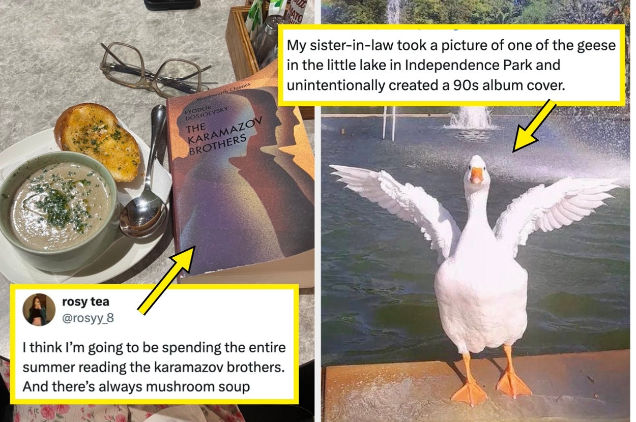 A table with mushroom soup and "The Karamazov Brothers" book; a goose by a fountain with wings spread wide like a 90s album cover