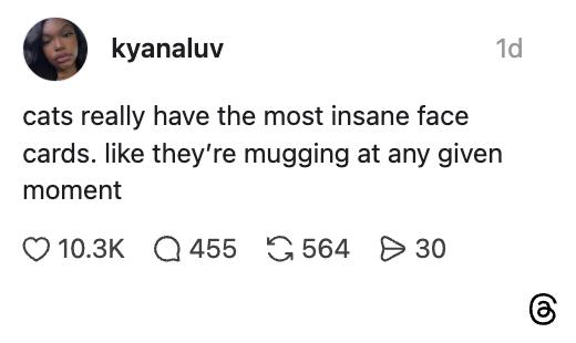 Social media post: "Cats really have the most insane face cards. Like they're mugging at any given moment."
