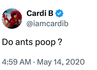 Screenshot of a tweet from a verified account, Cardi B, asking, "Do ants poop?" posted connected May 14, 2020, astatine 4:59 AM