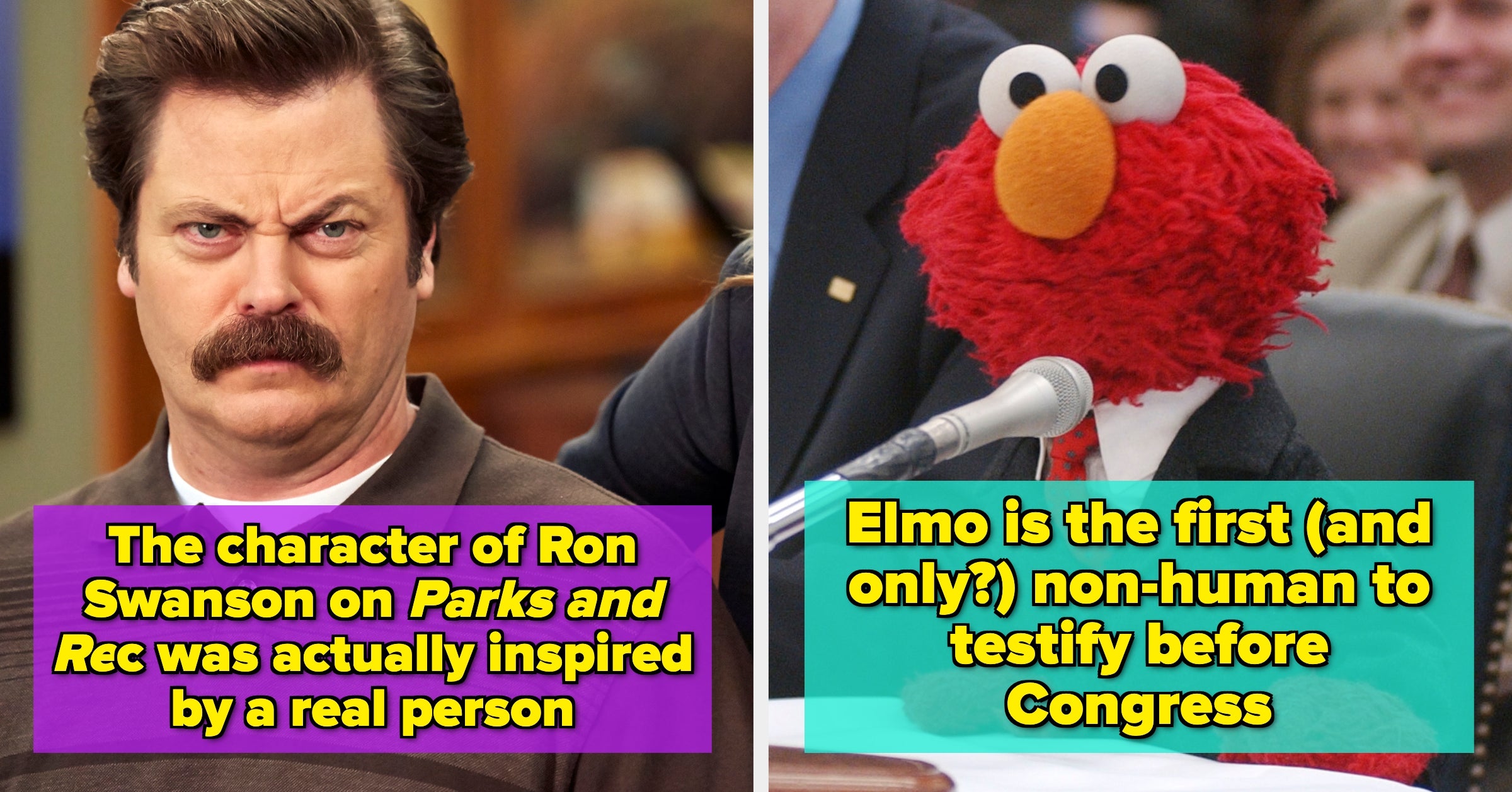 10 Very, Very Fascinating Facts I Recently Learned That Sound Totally Fake But Are Completely True