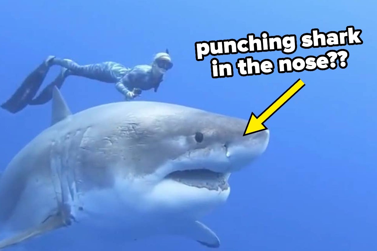 People Are Sharing The Misleading Survival Tips That Can Actually Get You Killed, And Ohhhhh Myyyyy Goddddd