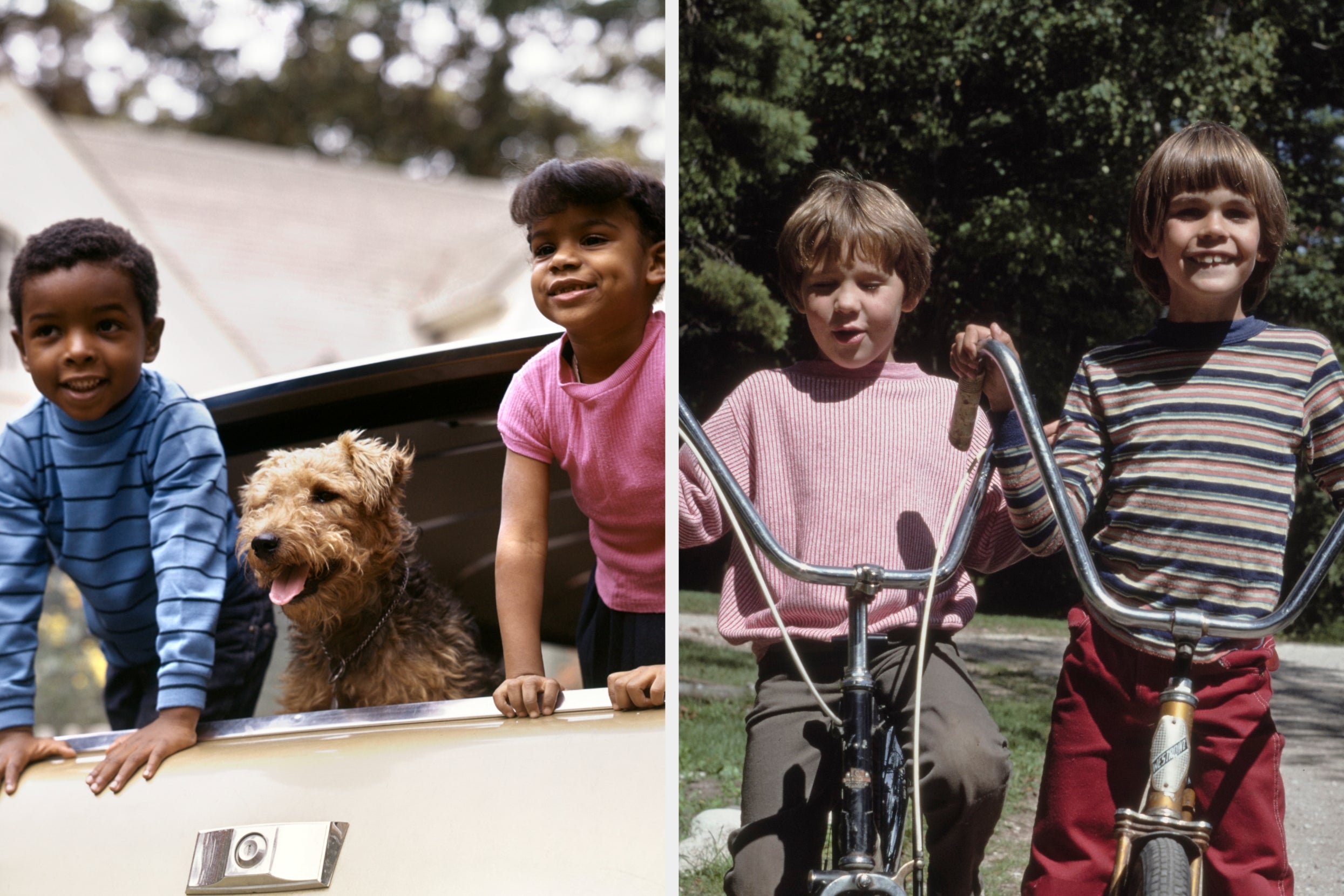 Two children and a dog look out a car window on the left; on the right, two children smile while sitting on bikes