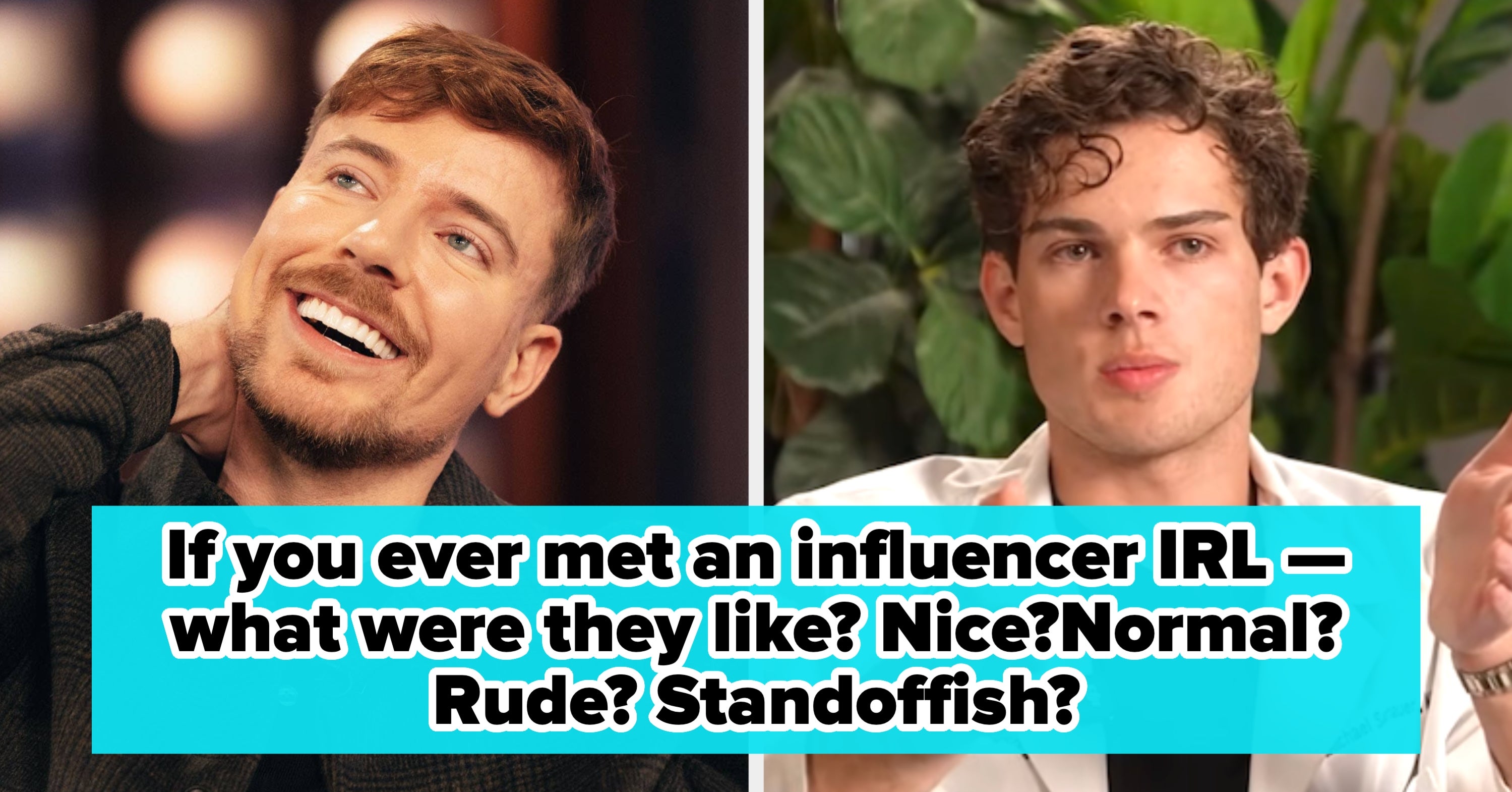 Dear Readers, Have You Ever Met An Influencer In The Wild?