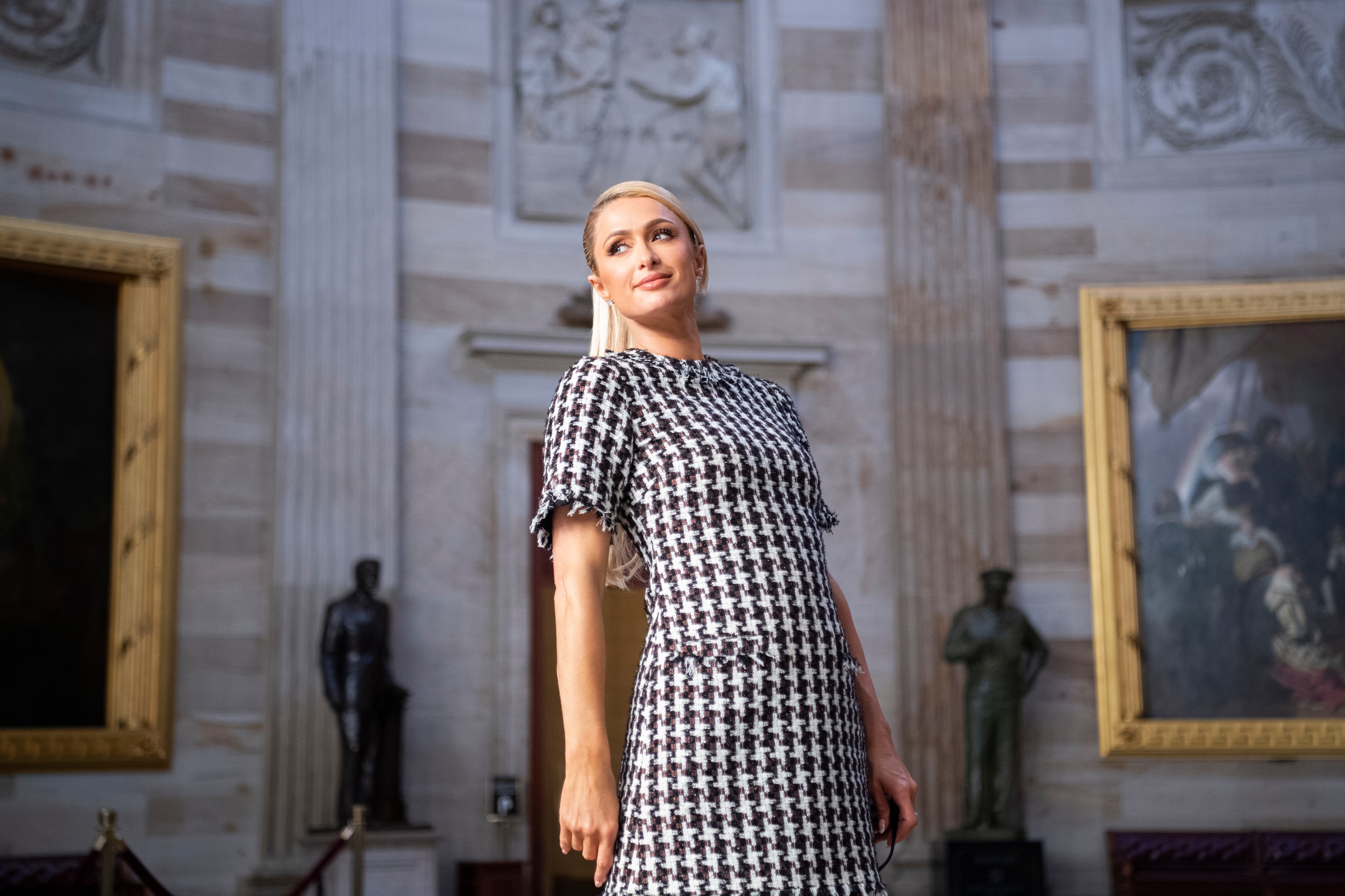 A idiosyncratic   successful  a chic patterned formal  poses confidently successful  an elegant interior with statues and framed creation  successful  the background