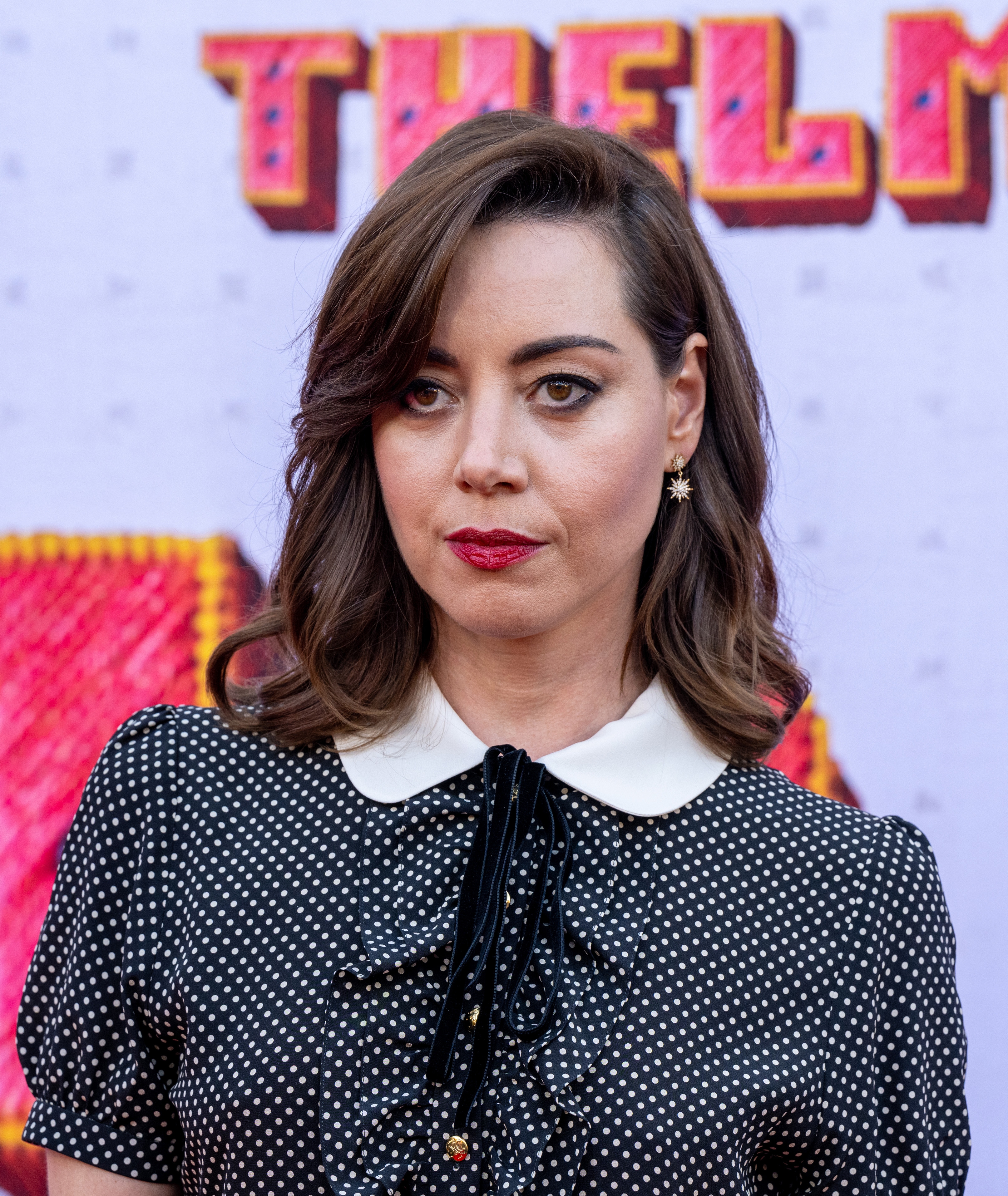 Person successful  polka dot formal  with a achromatic  collar connected  a reddish  carpet