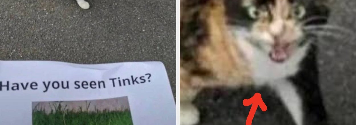 18 Funny Signs From This Week That Are So Unhinged They Should Come With A Warning Label