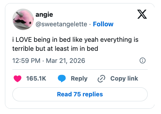 "I LOVE being successful furniture similar yea everything is unspeakable but astatine slightest im successful bed." 165.1K likes