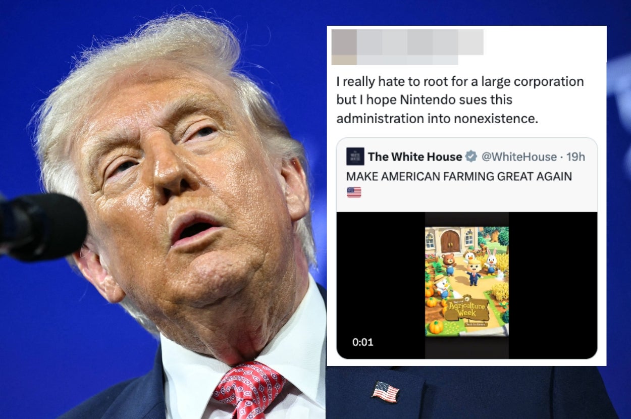 A person speaking in front of a microphone with a tweet comparing Nintendo and American farming policy displayed beside them