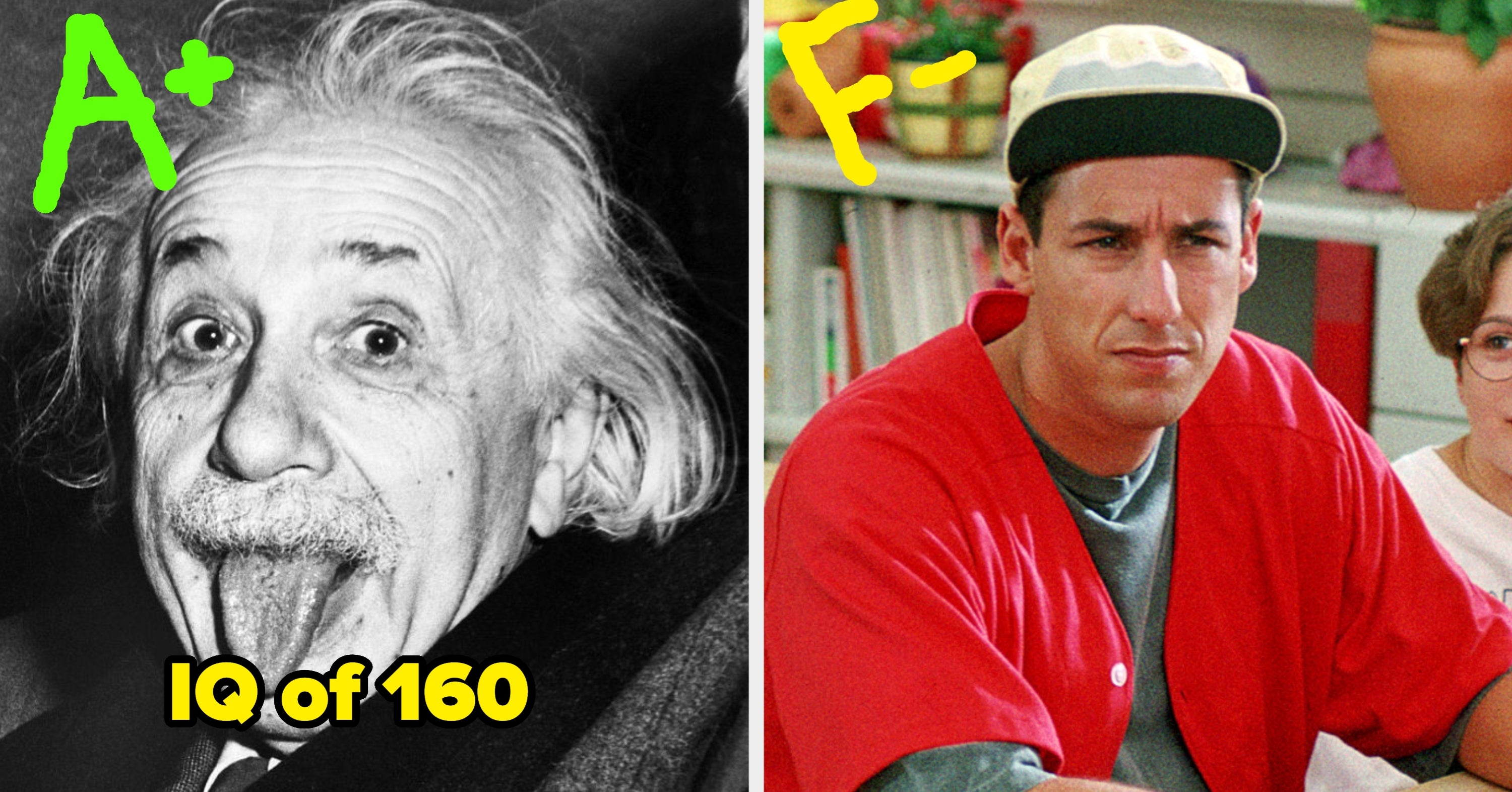 60 Vocabulary Terms That Only People With An IQ Between 125–145 Can Define