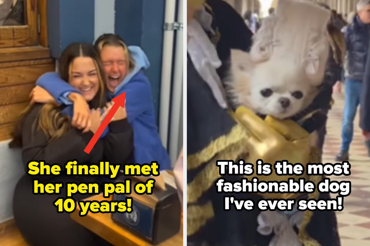 Two images: Left shows a joyful reunion hug between two smiling people. Right shows a shelter dog smiling with text saying the dog smiles to win adopters
