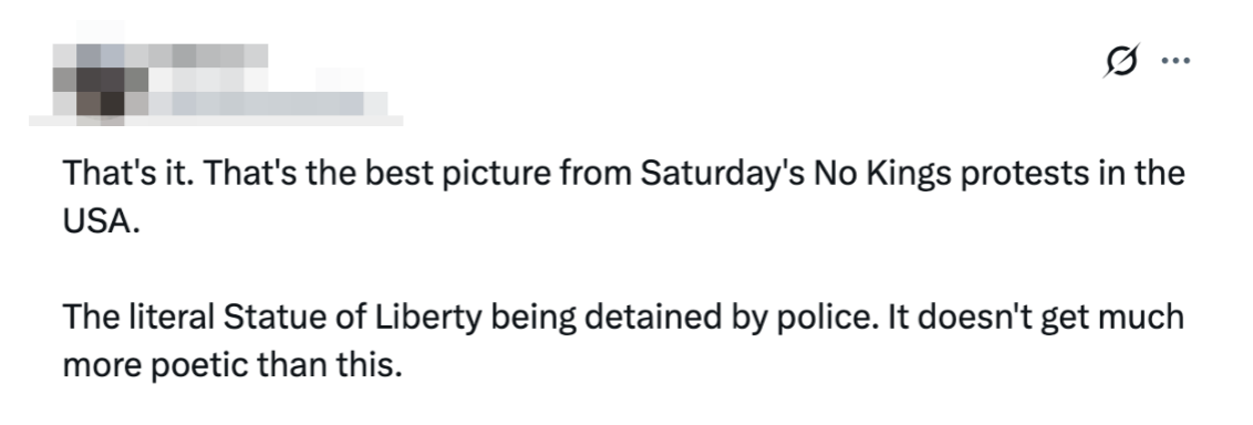 Statue Of Liberty Protester Goes Viral Online, No Kings