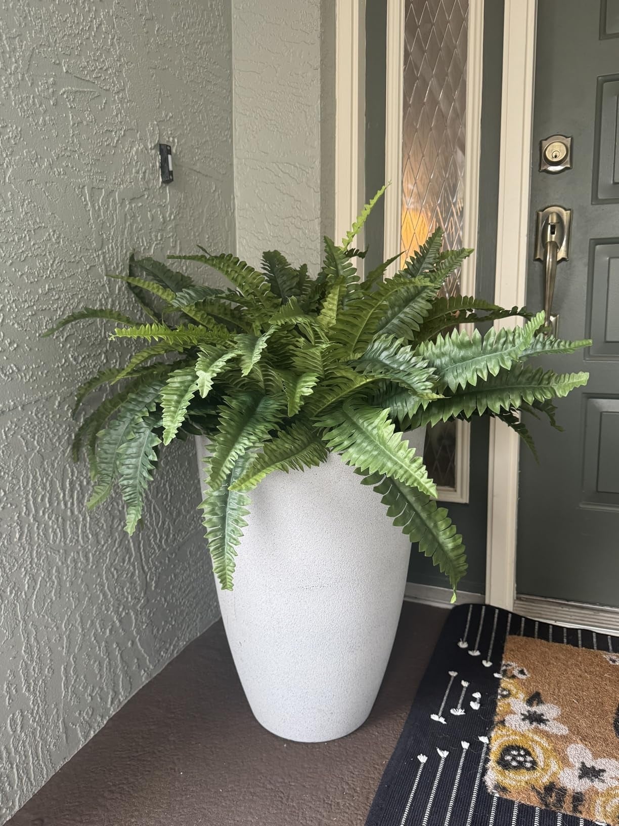Large potted fern placed beside a home's entrance, enhancing doorway decor