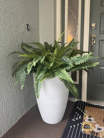 Large potted fern placed beside a home's entrance, enhancing doorway decor
