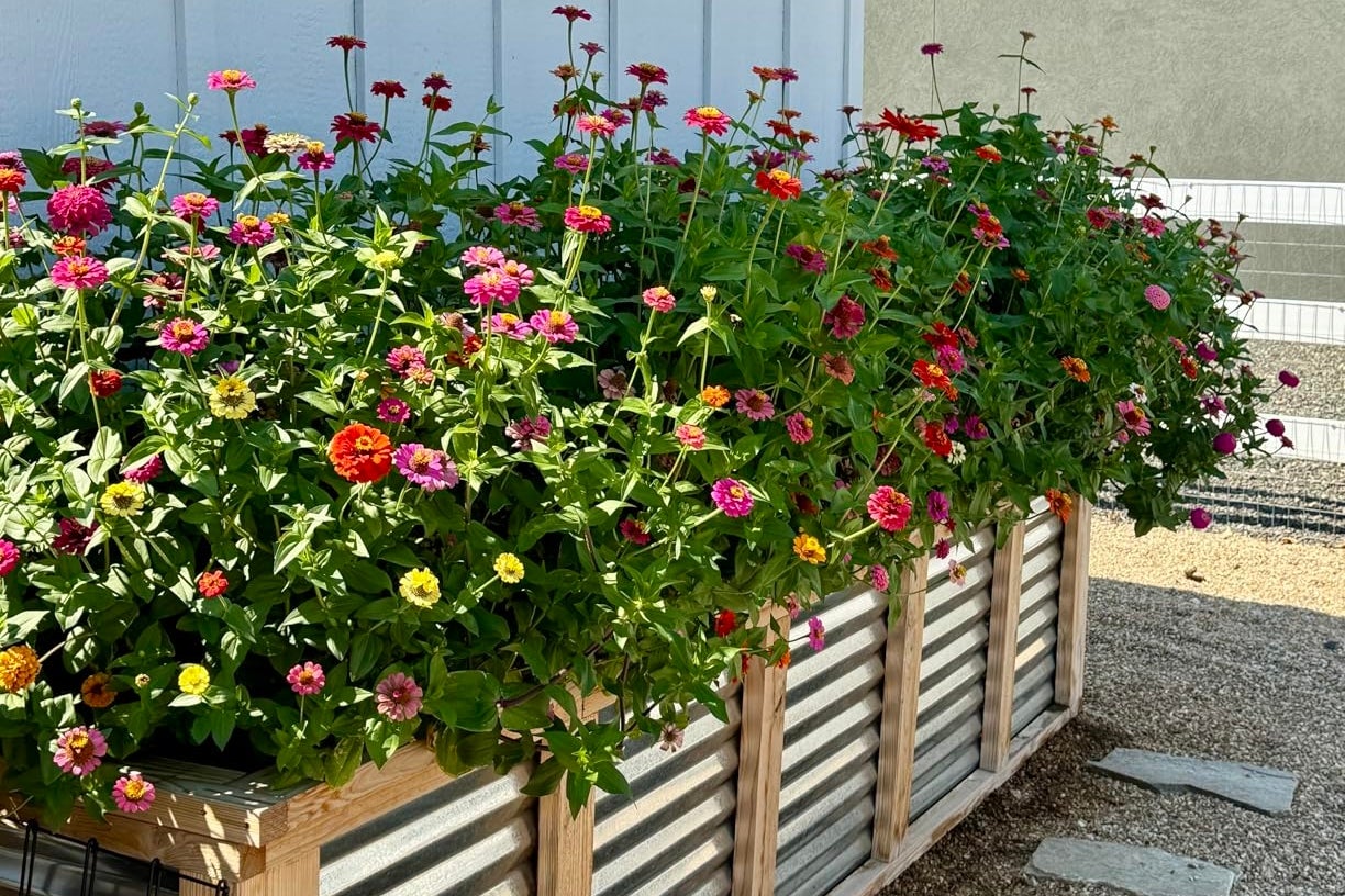 51 Things That’ll Help Your Outdoor Space Become Your Entire Personality For The Next Five Months