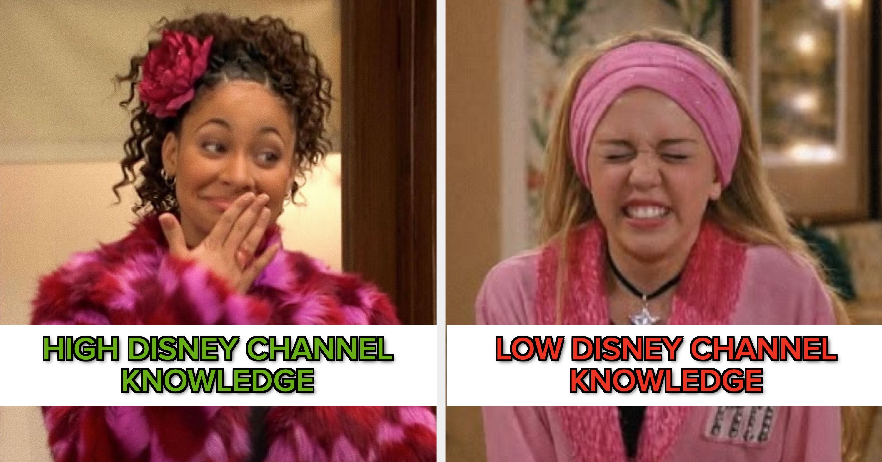 Can You Name All These Disney Channel Shows Within A Minute?