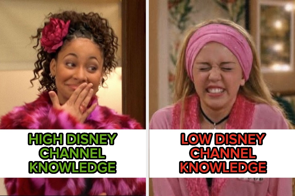 Can You Name All These Disney Channel Shows Within A Minute?