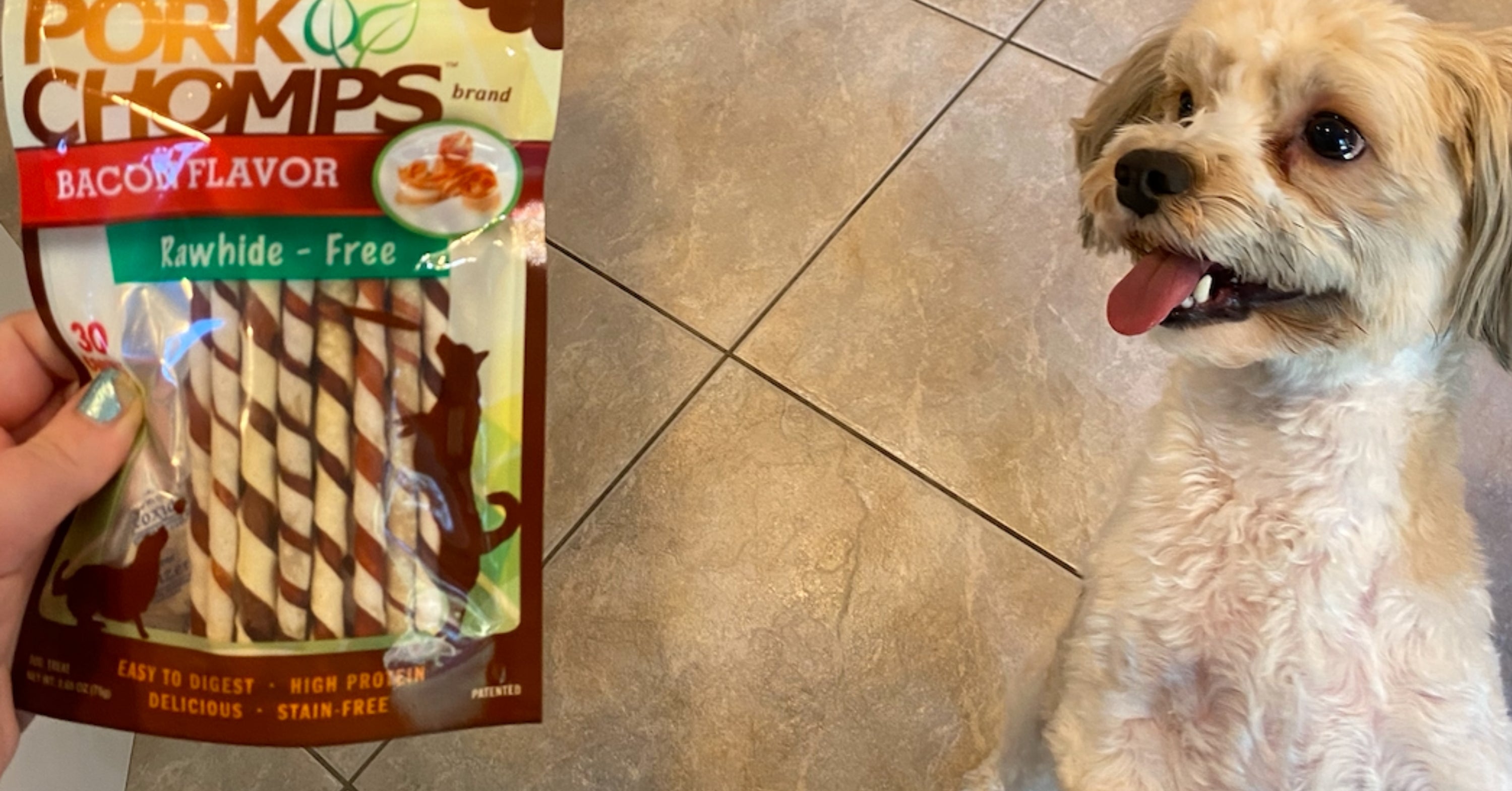 11 Products That My Dog, Bailey, Really Loves And Thinks You Should Buy