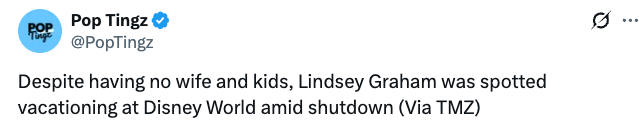 Tweet astir  Lindsey Graham vacationing astatine  Disney World amid a shutdown, mentioned by TMZ