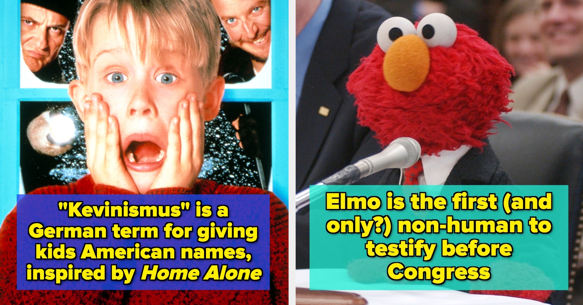 27 Mind-Blowing Facts That Sound Totally Made Up By The Internet (But Aren't) That I Came Across In March