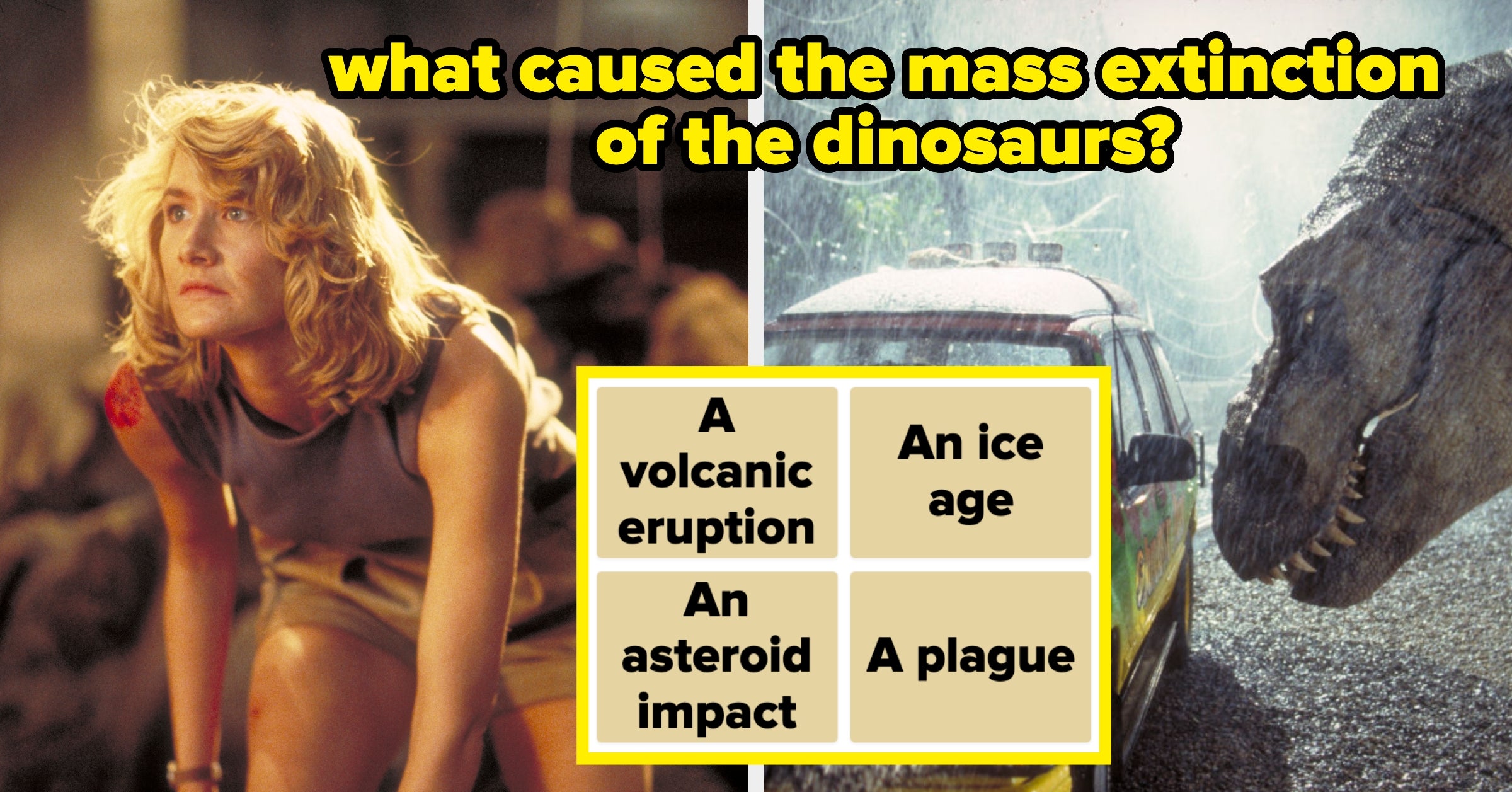 The Average Person Can't Score Higher Than 22% On This Basic Dinosaur Trivia Quiz, And It's Pretty Sad