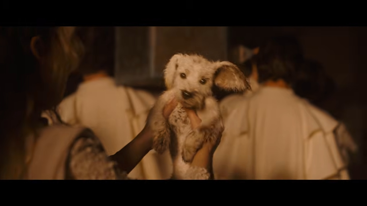 Person holds a small, fluffy creature with floppy ears in a dimly lit setting; two blurred figures are in the background