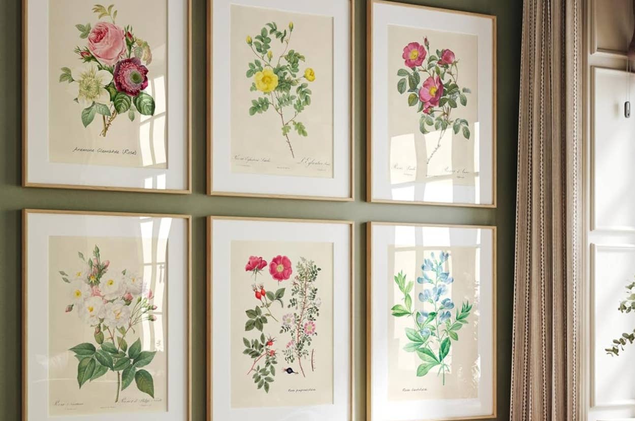 Wall with six framed botanical prints