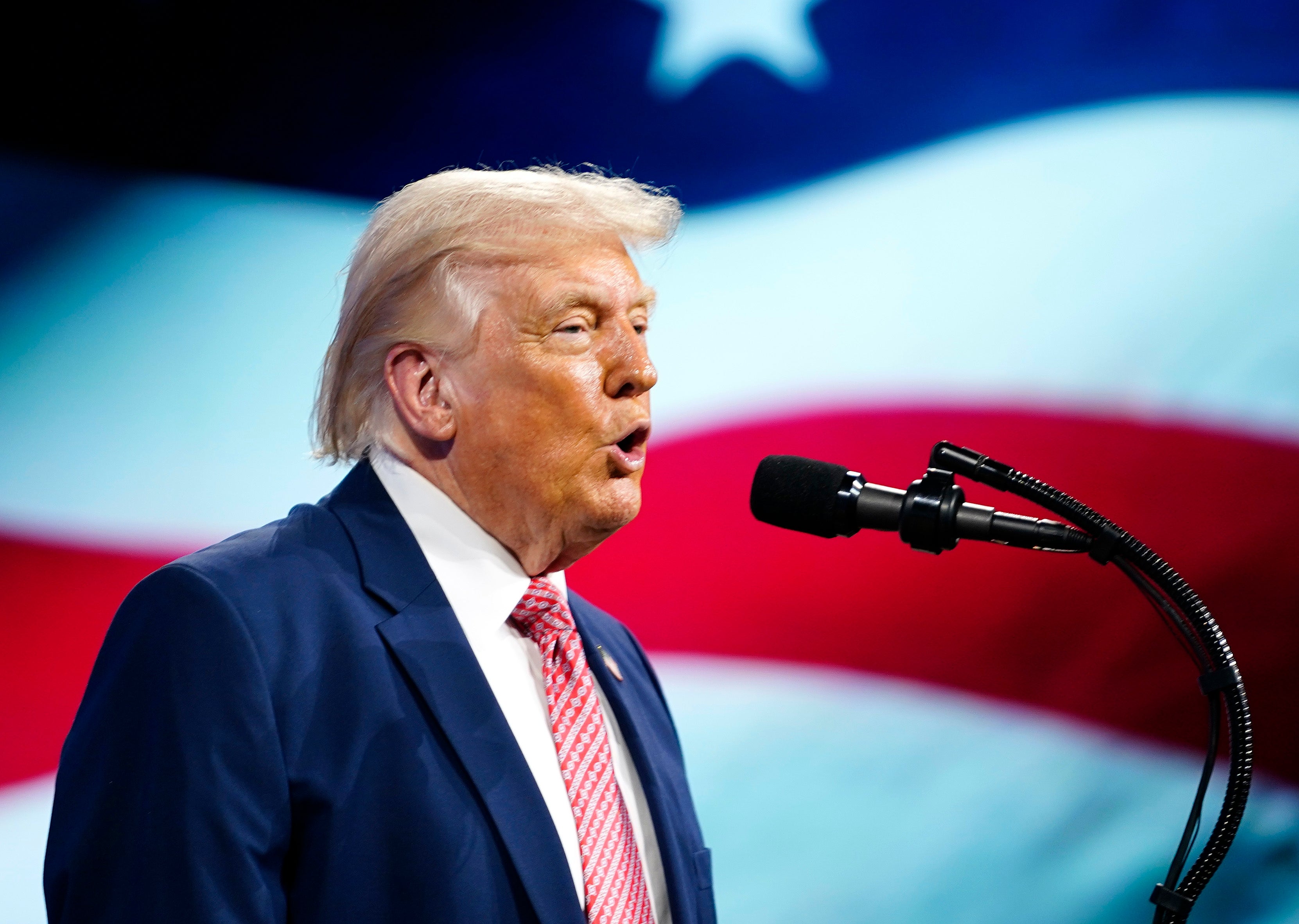 En person i dress snakker i en mikrofon, med et stort flagg i bakgrunnen