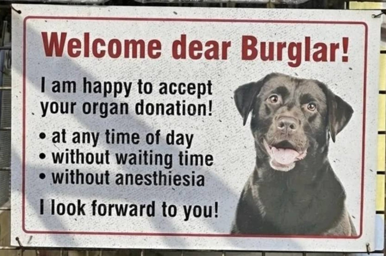 A comical warning sign depicts a dog inviting burglars to donate organs, with no wait or anesthesia, emphasizing the dog's protective nature
