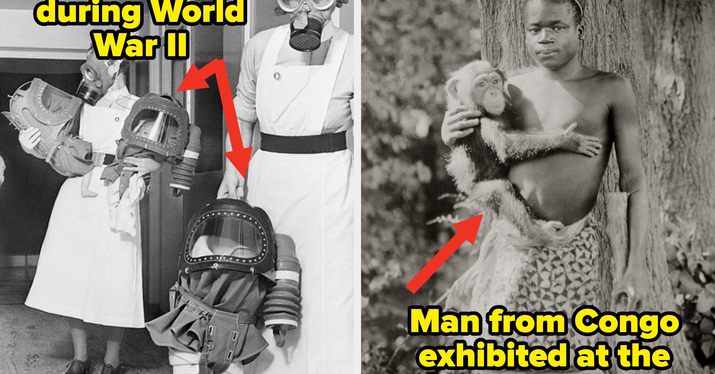 36 Fascinating Photos From Global History That Feel Almost Impossible To Believe