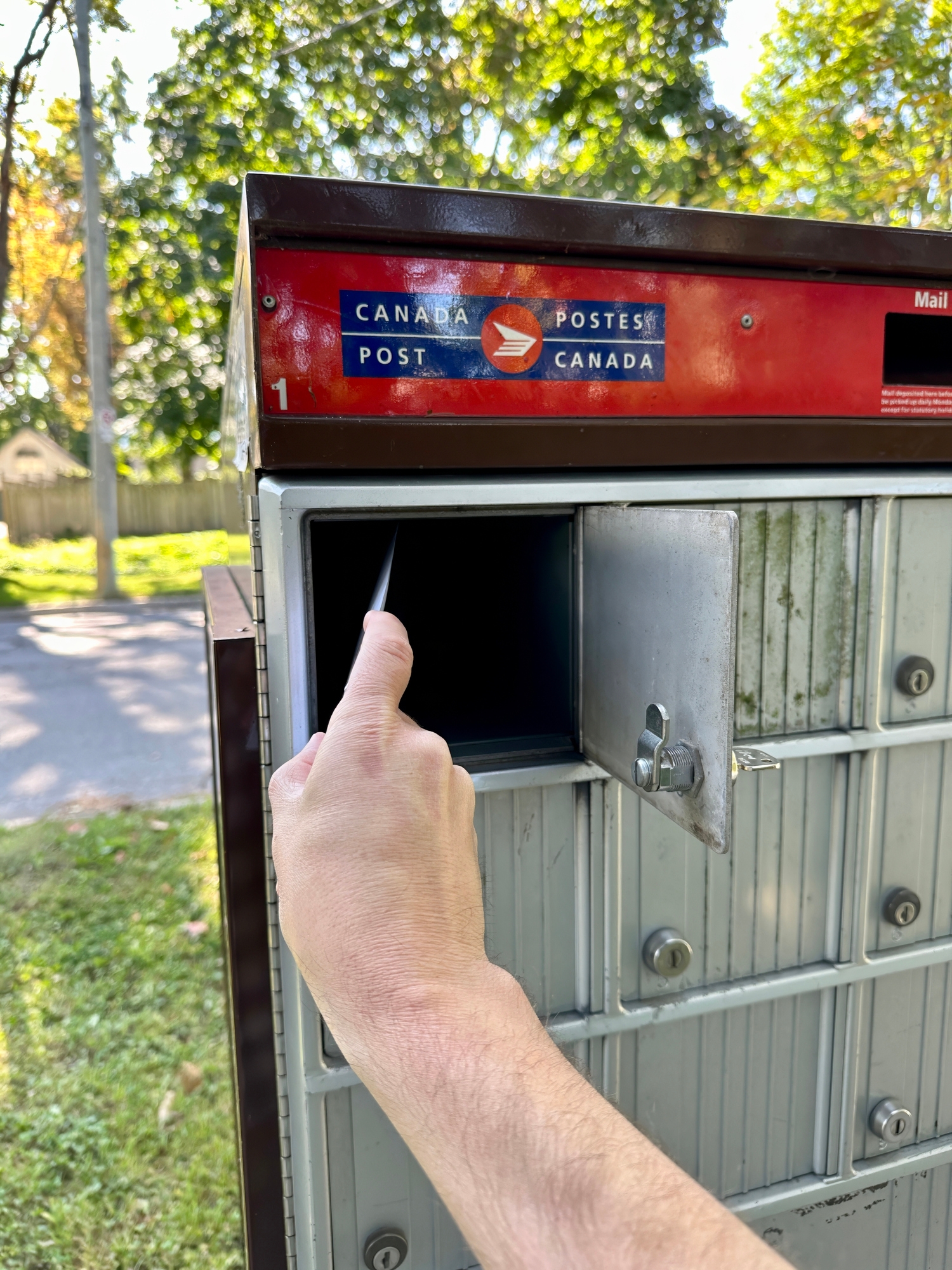 A idiosyncratic   inserts message  into a Canada Post assemblage  mailbox, surrounded by greenery and sunshine