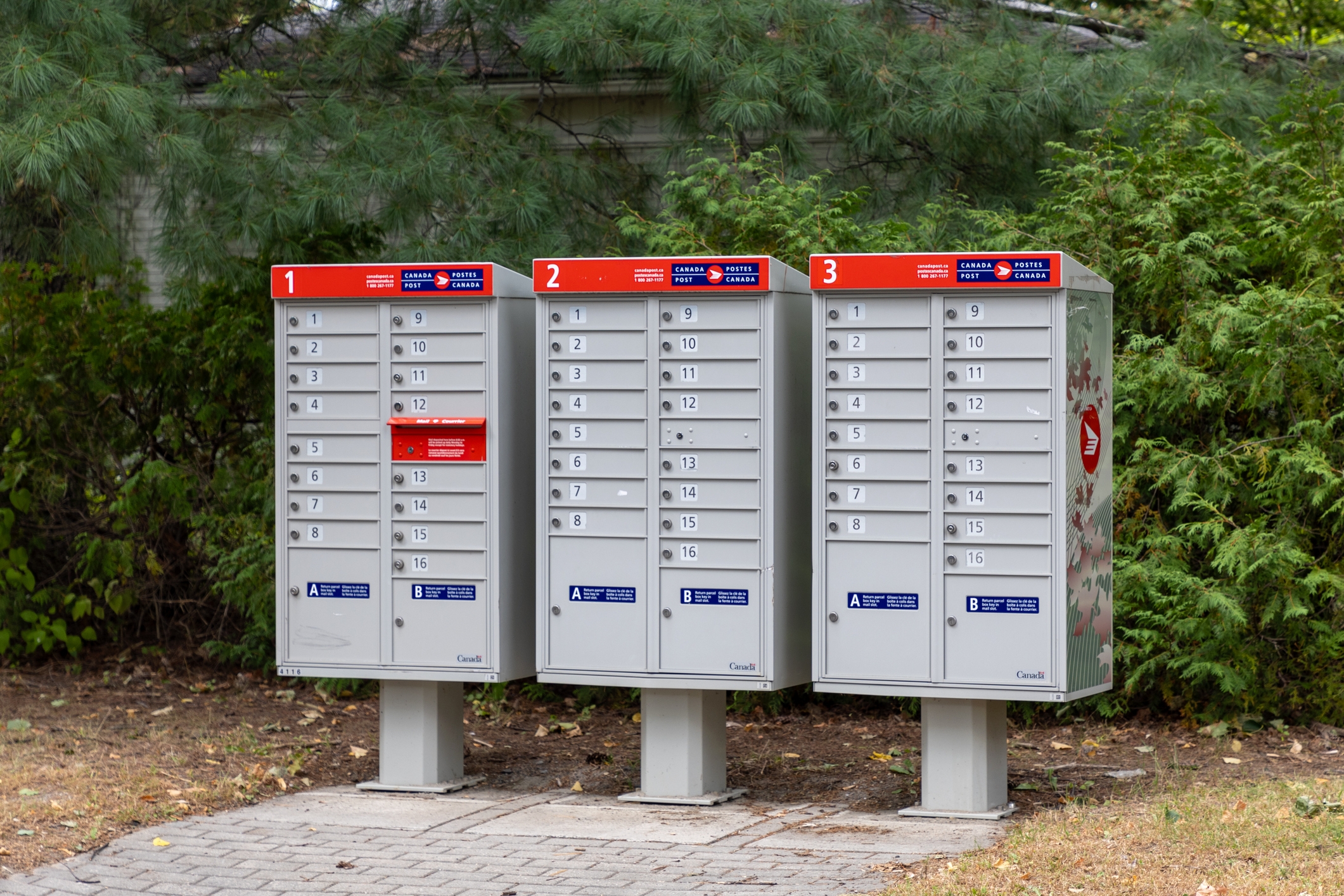 Cluster of 3  outdoor mailboxes with numbered slots, surrounded by greenery
